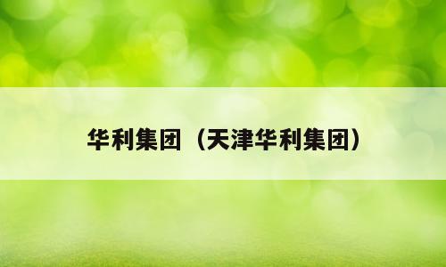 华利集团（天津华利集团）