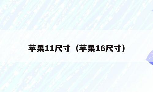 苹果11尺寸（苹果16尺寸）