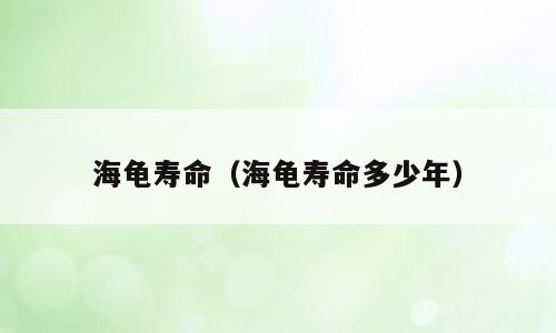 海龟寿命（海龟寿命多少年）