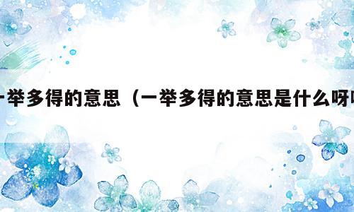 一举多得的意思（一举多得的意思是什么呀啊）