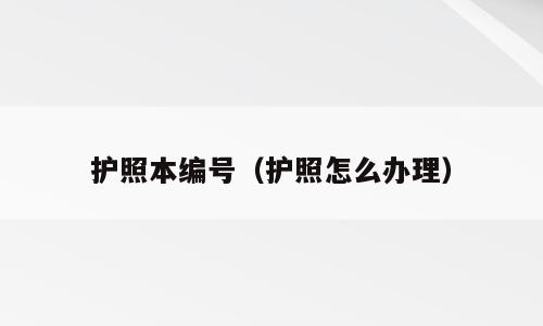 护照本编号（护照怎么办理）
