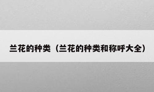 兰花的种类（兰花的种类和称呼大全）