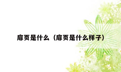 扉页是什么（扉页是什么样子）
