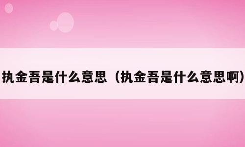 执金吾是什么意思（执金吾是什么意思啊）