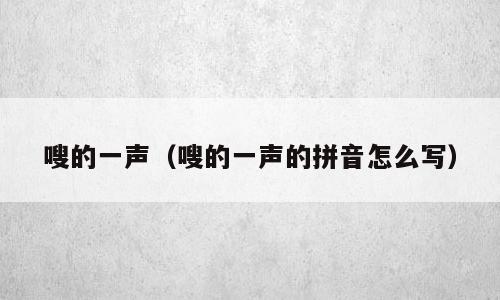 嗖的一声（嗖的一声的拼音怎么写）