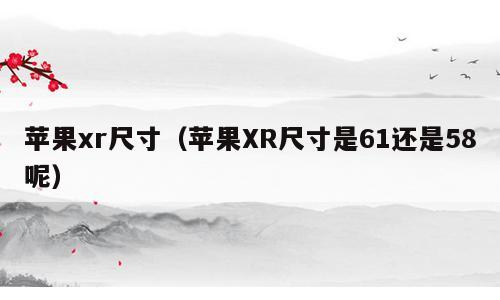 苹果xr尺寸（苹果XR尺寸是61还是58呢）