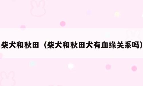 柴犬和秋田（柴犬和秋田犬有血缘关系吗）