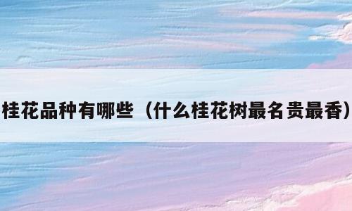 桂花品种有哪些（什么桂花树最名贵最香）