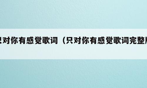 只对你有感觉歌词（只对你有感觉歌词完整版）
