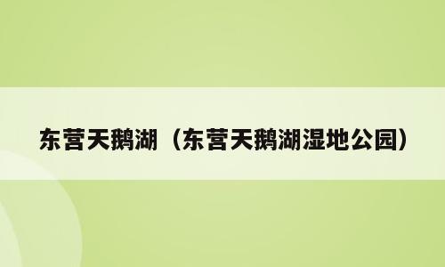 东营天鹅湖（东营天鹅湖湿地公园）