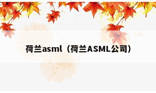荷兰asml（荷兰ASML公司）