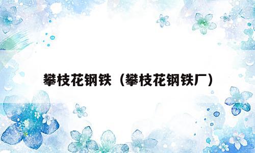 攀枝花钢铁（攀枝花钢铁厂）