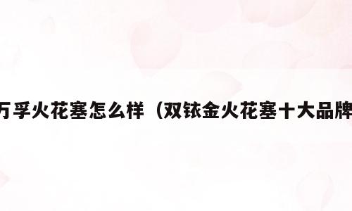 万孚火花塞怎么样（双铱金火花塞十大品牌）