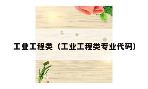 工业工程类（工业工程类专业代码）