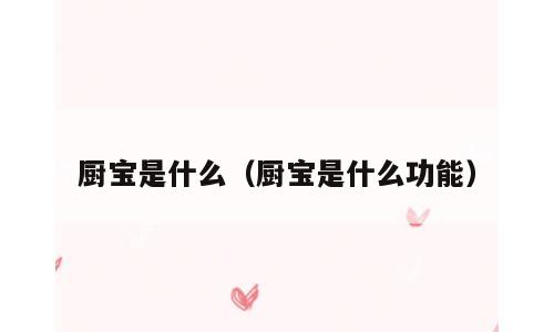 厨宝是什么（厨宝是什么功能）