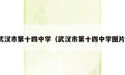 武汉市第十四中学（武汉市第十四中学图片）