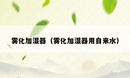 雾化加湿器（雾化加湿器用自来水）