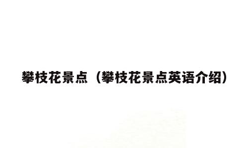攀枝花景点（攀枝花景点英语介绍）