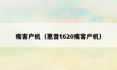 瘦客户机（惠普t620瘦客户机）