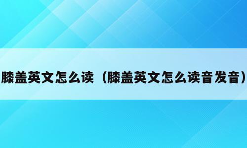 膝盖英文怎么读（膝盖英文怎么读音发音）