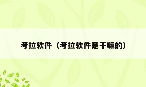 考拉软件（考拉软件是干嘛的）