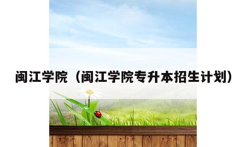 闽江学院（闽江学院专升本招生计划）