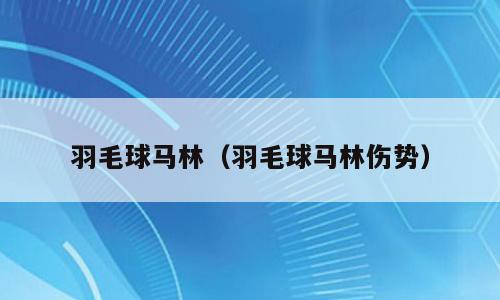 羽毛球马林（羽毛球马林伤势）