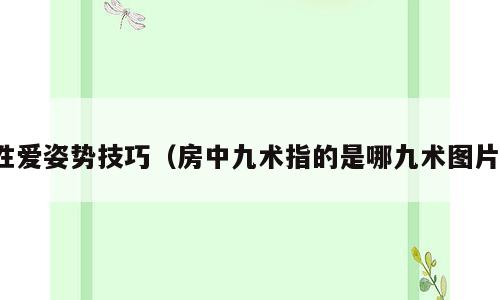 性爱姿势技巧（房中九术指的是哪九术图片）