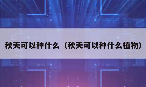 秋天可以种什么（秋天可以种什么植物）