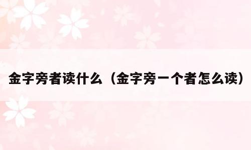 金字旁者读什么（金字旁一个者怎么读）