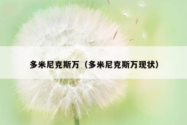 多米尼克斯万（多米尼克斯万现状）