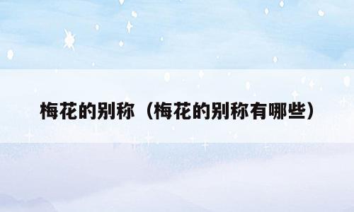 梅花的别称（梅花的别称有哪些）