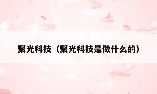 聚光科技（聚光科技是做什么的）