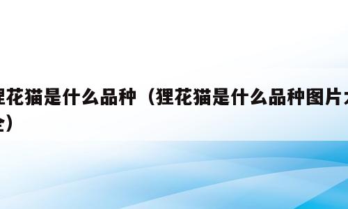 狸花猫是什么品种（狸花猫是什么品种图片大全）