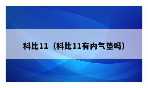 科比11（科比11有内气垫吗）