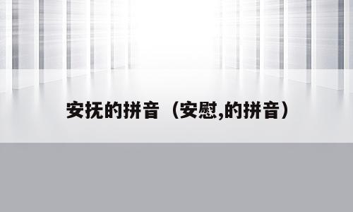 安抚的拼音（安慰,的拼音）