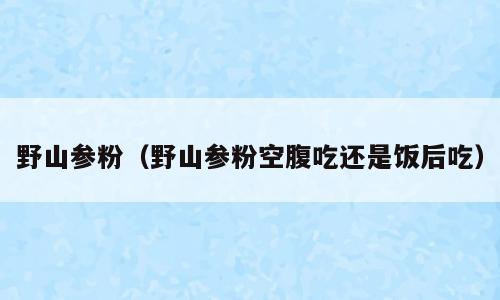 野山参粉（野山参粉空腹吃还是饭后吃）