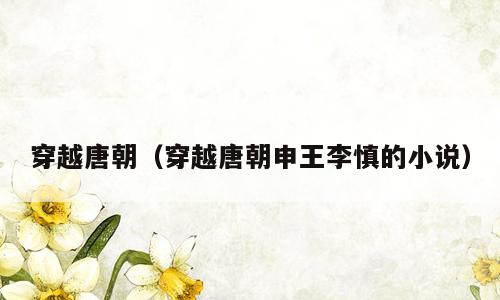 穿越唐朝（穿越唐朝申王李慎的小说）