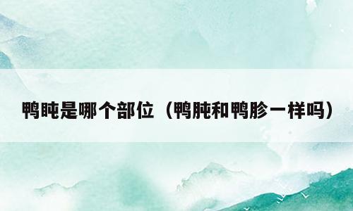 鸭盹是哪个部位（鸭肫和鸭胗一样吗）