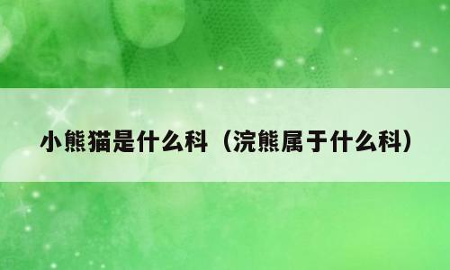 小熊猫是什么科（浣熊属于什么科）