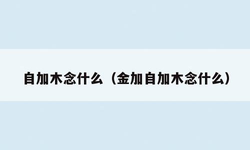 自加木念什么（金加自加木念什么）