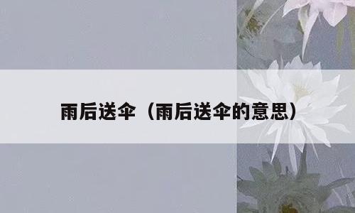 雨后送伞（雨后送伞的意思）