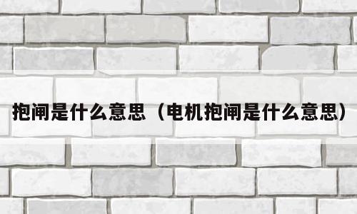 抱闸是什么意思（电机抱闸是什么意思）
