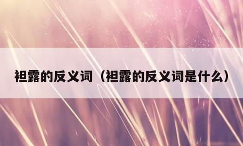 袒露的反义词（袒露的反义词是什么）