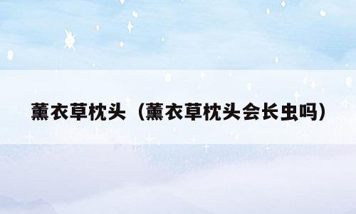薰衣草枕头（薰衣草枕头会长虫吗）