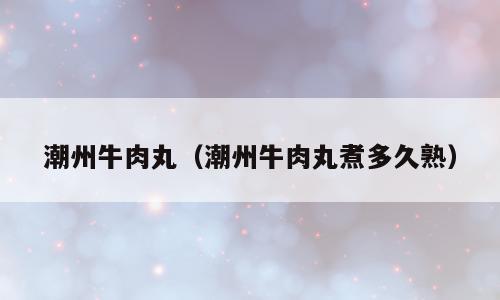潮州牛肉丸（潮州牛肉丸煮多久熟）