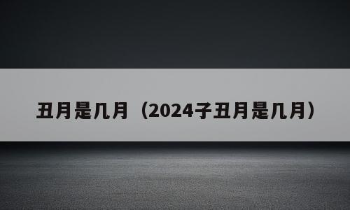 丑月是几月（2024子丑月是几月）