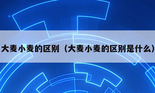 大麦小麦的区别（大麦小麦的区别是什么）