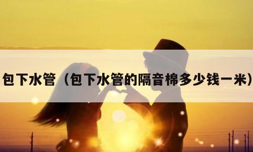 包下水管（包下水管的隔音棉多少钱一米）