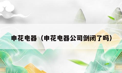 申花电器（申花电器公司倒闭了吗）